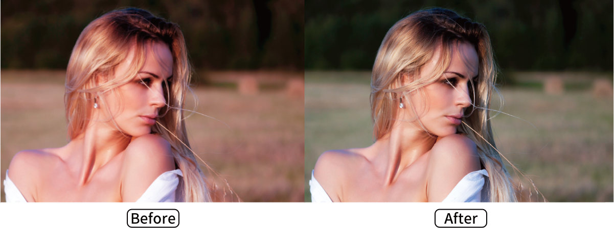 Colorlight 5G Series HC5 LED Receiving Card